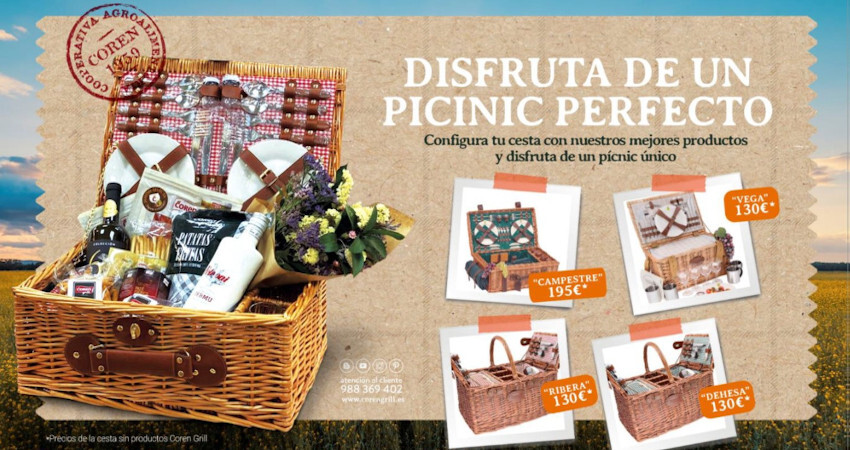DISFRUTA DE UN PICNIC PERFECTO